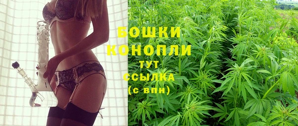 ешки Арсеньев