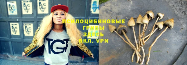 ешки Арсеньев